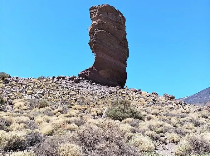 Joy Tenerife Charming House *
